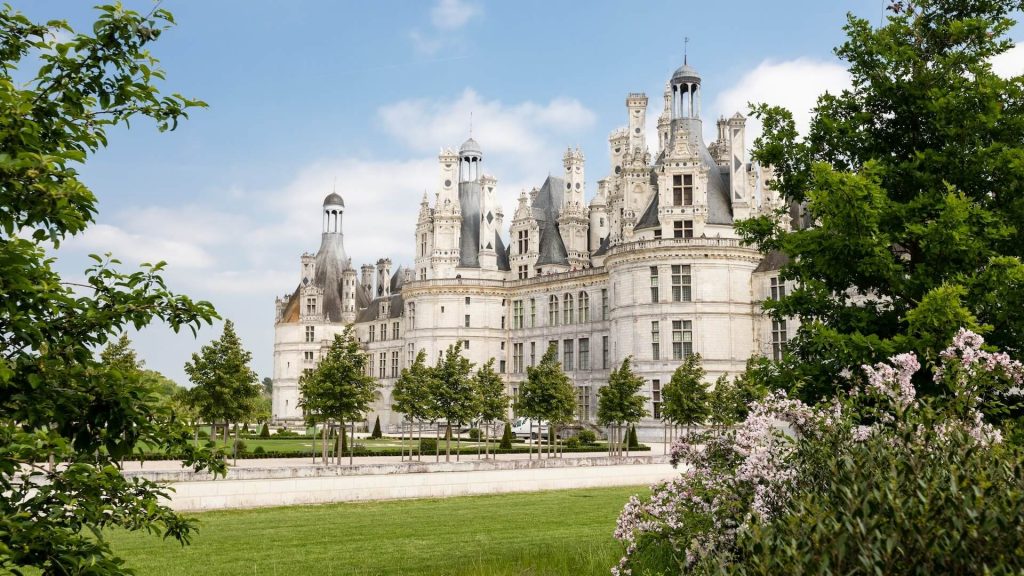Une scène tranquille de vignobles luxuriants et de châteaux majestueux, incarnant la beauté de la campagne française.